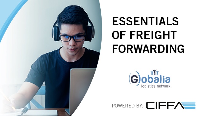 freight forwarding courses- Globalia Logistics Network freight forwarding courses- Globalia Logistics Network